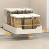 Sliding Drawer Storage Organizer